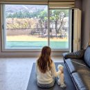 옹달샘펜션 | 양평 독채 애견펜션 강아지 동반 펜션 도그엔조이