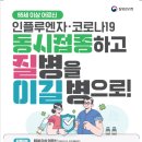 꼭이야 이미지