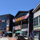 선한반려 | 삼척 쏠비치 주변 맛집 추암횟집대게 물회 대게덮밥 후기