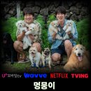 멍뭉이 | 추석에 볼만한 영화 멍뭉이 정보 출연진 줄거리 관람평 결말 후기 리뷰