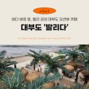 구봉도 비치타운 | 경기도 근교 드라이브 코스 추천｜대부도 오션뷰 카페 발리다 감성 공간[Oh글 카페]