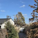 협재여유 | [제주 잔물결 협재 본점] 여유로움이 가득한 고즈넉한 카페 잔물결 세번째 방문 후기