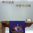 3월 17일 히야신스 제라늄 후리지아등으로 이미지