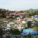 꽃동산경로당 이미지