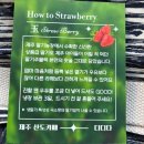 디디다 | 제주 딸기주물럭 맛집 디디다 내돈내산 후기 뭐랭하맨 추천