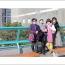 동신참치 이미지