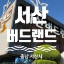 버드랜드카페체험