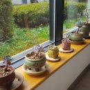 백운봉휴게소 이미지