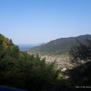 고성장의사