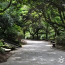 천지연폭포 이미지