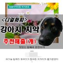 퍼피팸퍼 | 강아지 고양이 치약 추천해줄(개) 디얼퍼피 빌베리 천연 치약 맛도 건강도 이빨 관리도 완벽해..