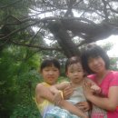 부일농장 이미지