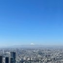 돈돈가든 이미지