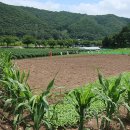 돌보목장 이미지