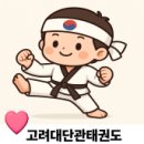 고려대단관태권도 이미지