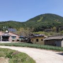 월미마을회관 이미지