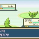 뮤트복싱체육관 이미지