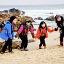 주문진 - 동대문구 경희대로1길 11 | 주문진