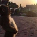 당구전쟁 | Mar.26.zip.