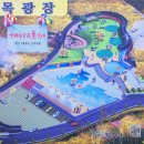 산수유축제장 이미지