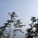 1016빌리지 | 가족들과 함께 가볼만한 태안 펜션 : 1016빌리지