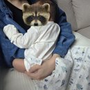 제노스템 성남고객센타 | 마더케이 처음박스 (임신박스) 당첨 후기! 무료 임신축하선물 🎁✨🎊