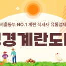 성경도매마트