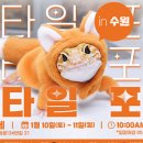 테라리움동물병원 이미지