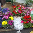 산격1동 행정복지센터 앞 이미지