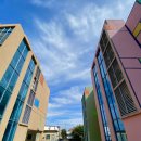 표선환승정류장 이미지