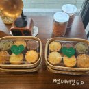 스위츠포레스트 이미지