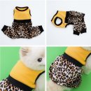 멍뭉(MUNGMOONG) 이미지