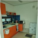 산속애견 이미지