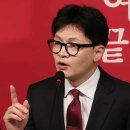 서울개발