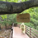 구천동 어사길 이미지