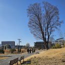 국립현대미술관 이미지