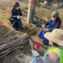 구구팔팔 이미지