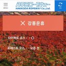 리메디칼 이미지