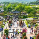 곡성-272 이미지