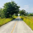 북면생태공원(다목적광장) 이미지