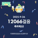 제주미주호텔 | 에어프레미아 이코노미 라이트 + 와이키키 말리아 호텔 + ABC 스토어 + 포케바 + 스투시 + 힐튼 불꽃...