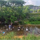안양-관양-관양-504 티스토리
