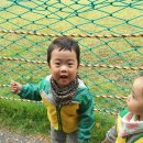 현준목장 네이버블로그