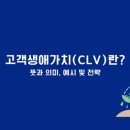 고객생애가치(CLV)란? 뜻과 의미, 예시 및 전략