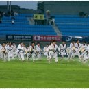 연세대태권도 이미지