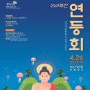2569 | 다양한 소원들이 한가득, 2569 부산 연등회(부산 연등문화제) 후기 - 세상에 평안을 마음에 자비를