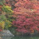 철암초등학교 이미지