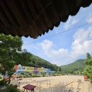 ♧이종구 교수의 에세이 산책/ 아~ 애증의 세월, 온혜국민학교~ 이미지