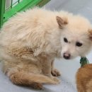 진명공업사 이미지