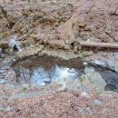 도원펜션 이미지